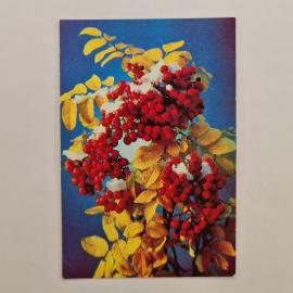 Карманный календарик 1992. Рябина с ягодами и снегом, природа. Календарь винтажный