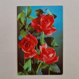 Карманный календарик СССР 1989. Красные розы, цветы. Советский календарь винтажный коллекционный