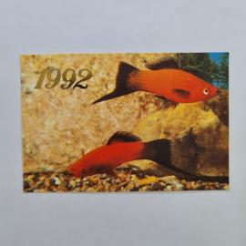 Карманный календарик 1992. Красный меченосец, аквариумные рыбы. Календарь винтажный