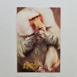 Карманный календарик 1992. Гамадрил, обезьяна, животные. Календарь винтажный фото В. Животченко