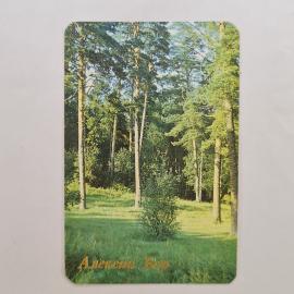 Карманный календарик СССР 1991. Алексин бор, природа, лесной пейзаж. Советский календарь