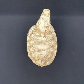 Картинка 5