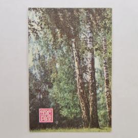 Карманный календарик СССР 1987. Госстрах, березы, природа. Советский календарь винтажный