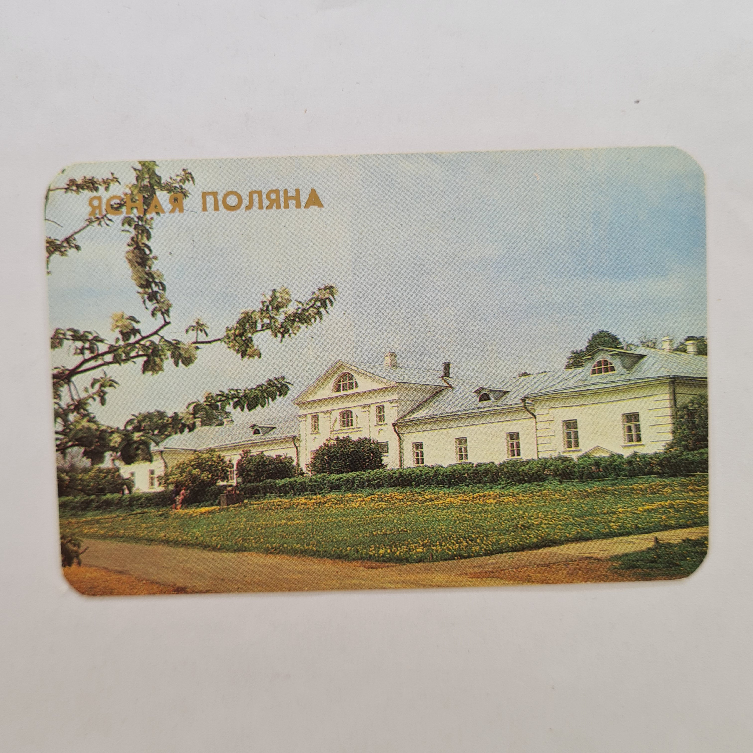 Картинка 1