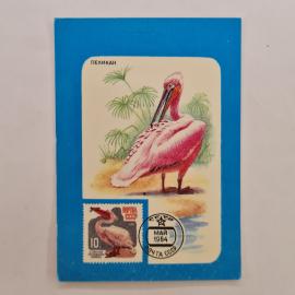 Карманный календарик СССР 1990. Пеликан, почта СССР, птицы. Советский календарь винтажный