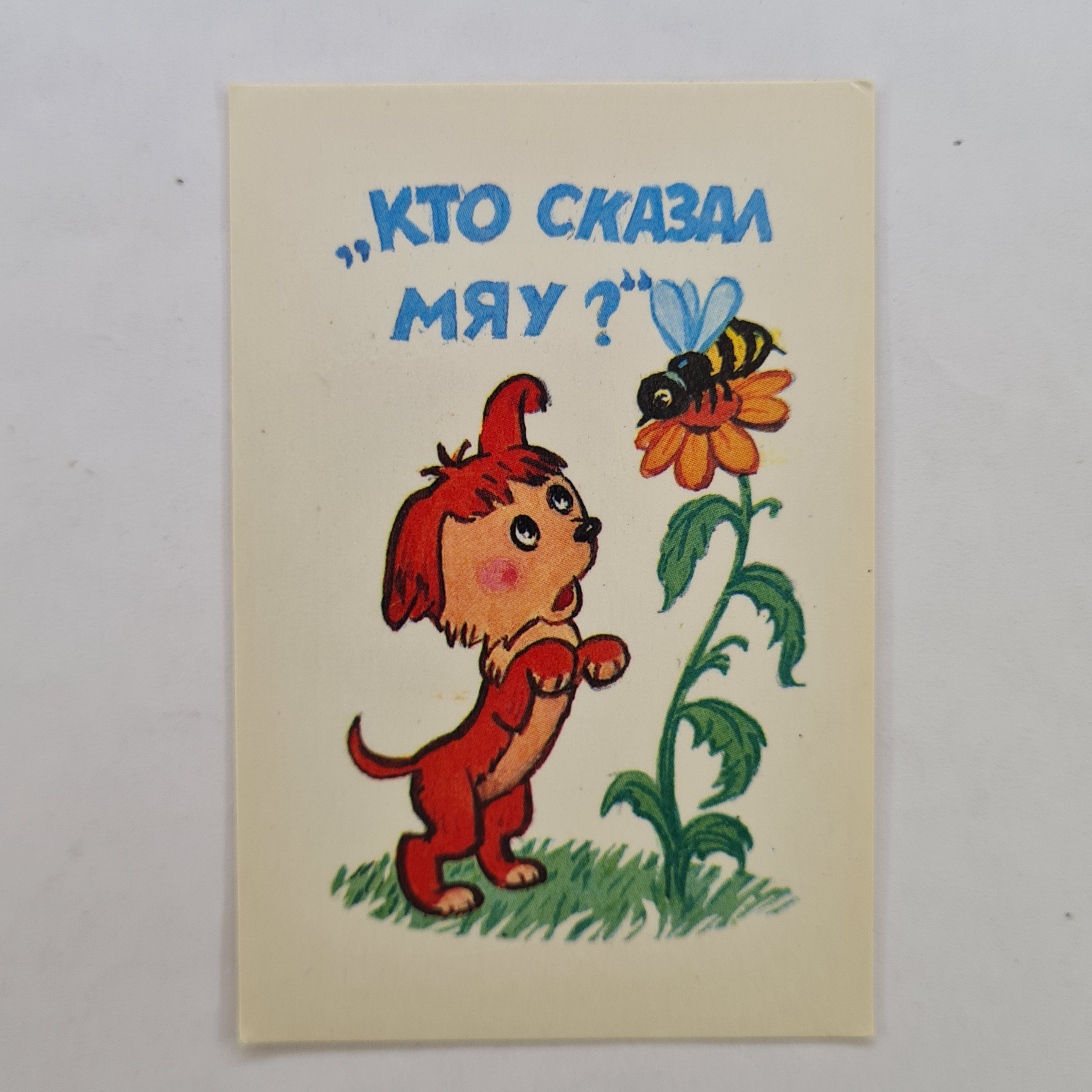 Картинка 1