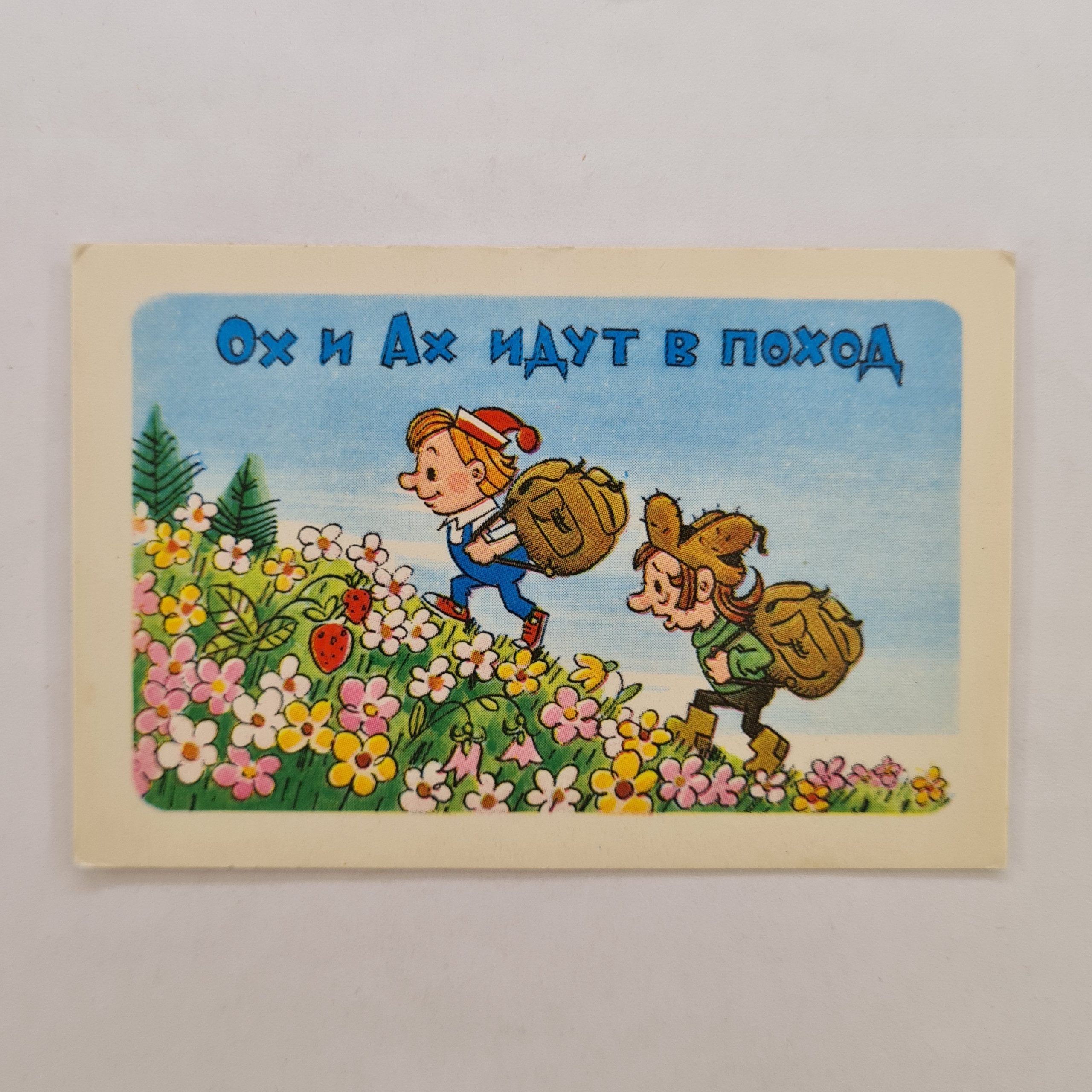 Картинка 1