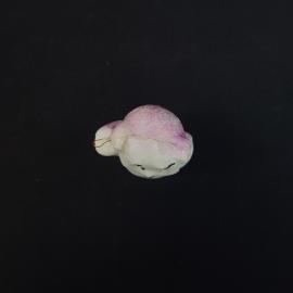 Картинка 5