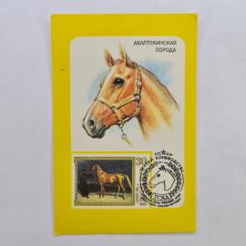 Карманный календарик СССР 1990. Ахалтекинская порода, коневодство, лошадь. Советский календарь