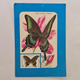 Карманный календарик СССР 1989. Хвостоносец маака, бабочка, Красная книга СССР. Советский календарь