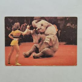 Карманный календарик СССР 1989. Советский цирк, слон и артистка на арене. Советский календарь
