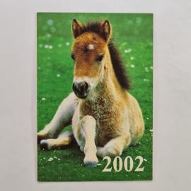 Карманный календарик 2002. Жеребенок на лугу, Тула, животные. Календарь винтажный коллекционный