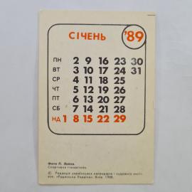 Картинка 2