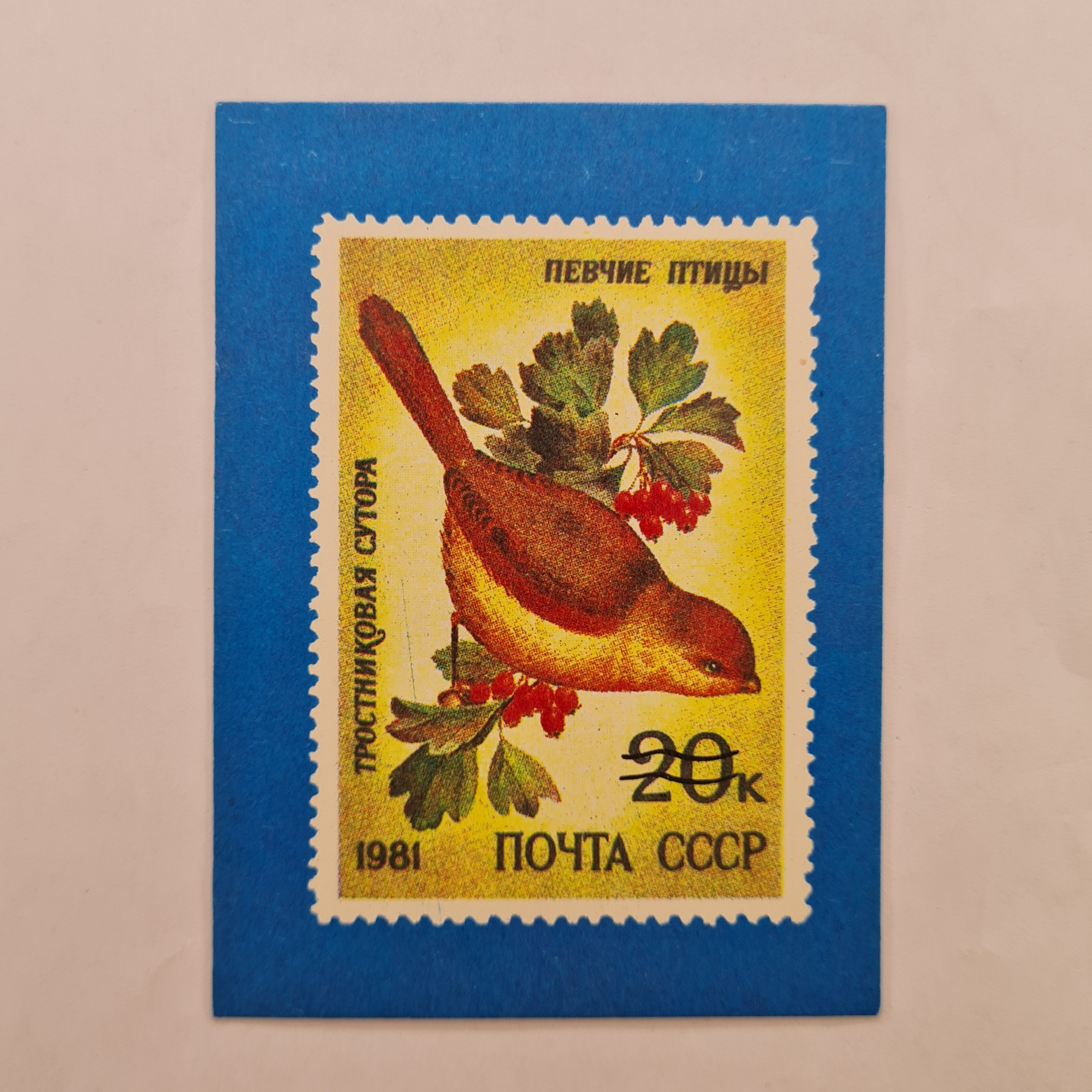 Картинка 1