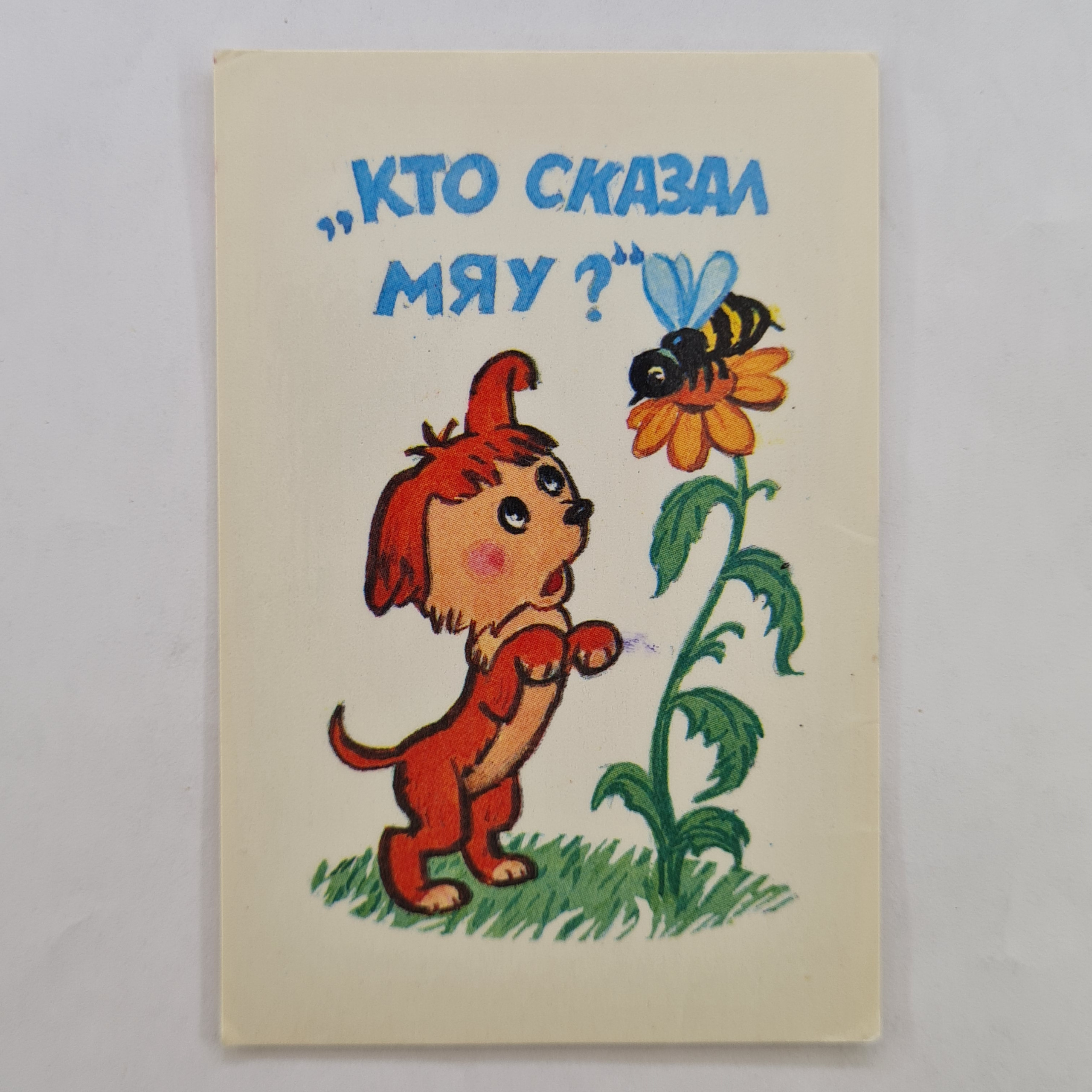 Картинка 1