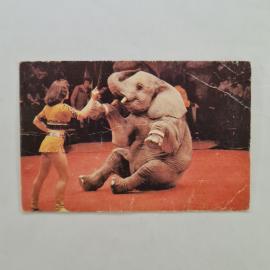Карманный календарик СССР 1989. Советский цирк, слон и дрессировщица. Советский календарь