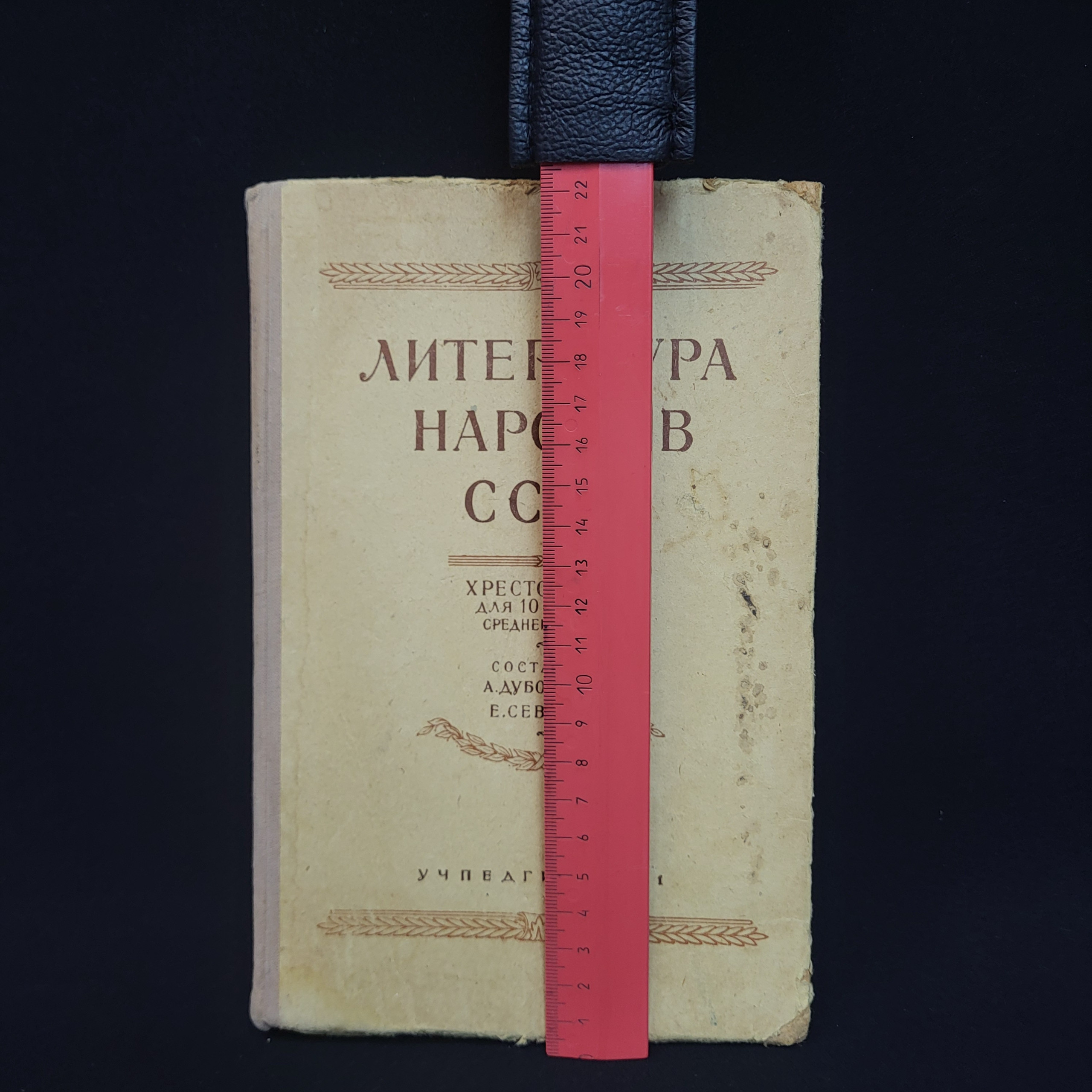 Картинка 8