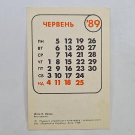 Картинка 2