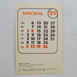 Картинка 2