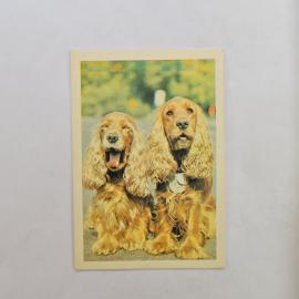 Карманный календарик СССР 1990. Спаниель, собаки. Советский календарь ДОСААФ СССР винтажный