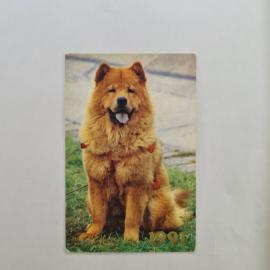 Карманный календарик СССР 1991. Собака, животные. Советский календарь коллекционный винтажный