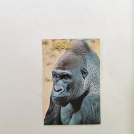 Карманный календарик 1992. Горилла, животные. Календарь винтажный, фото В. Животченко