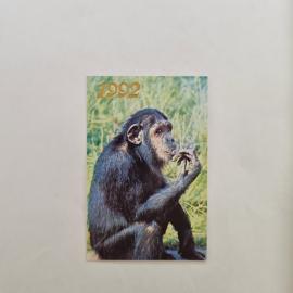 Карманный календарик 1992. Шимпанзе, животные. Календарь винтажный, фото В. Животченко