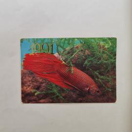 Карманный календарик СССР 1991. Союз журналистов СССР, рыба под водой. Советский календарь