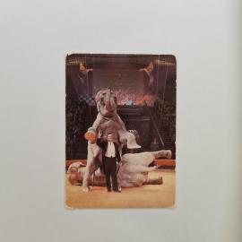 Карманный календарик СССР 1983. Цирк, дрессировщик и слоны на арене. Советский календарь
