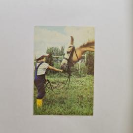 Карманный календарик СССР 1989. Ребенок и лошадь, детство, спорт. Советский календарь