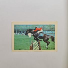 Карманный календарик СССР 1989. Конный спорт, всадник на лошади через барьер. Советский календарь