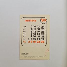 Картинка 2