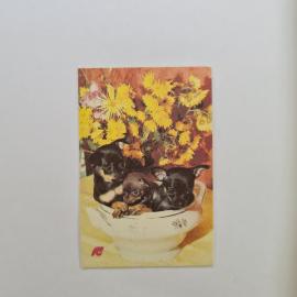 Карманный календарик СССР 1991. Страхование собак, щенки и цветы. Советский календарь