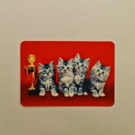 Карманный календарик 2006. Котята и кубок, животные. Календарь винтажный коллекционный