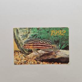 Карманный календарик 1992. Юлидохром Регана, аквариумная рыба. Календарь винтажный раритет
