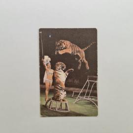 Карманный календарик СССР 1989. Дрессировщица и тигры, советский цирк. Календарь коллекционный