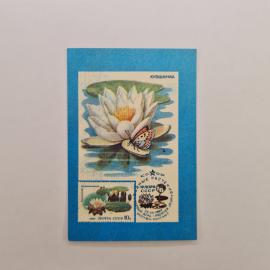 Карманный календарик СССР 1991. Кувшинка, водные растения, Флора СССР. Советский календарь