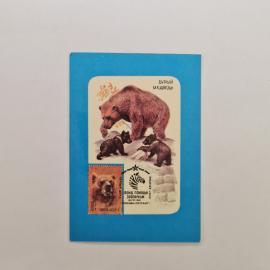 Картинка 1
