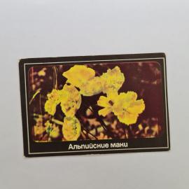 Картинка 1