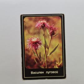 Карманный календарик СССР 1989. Василек луговой, охрана природы, цветы. Советский календарь
