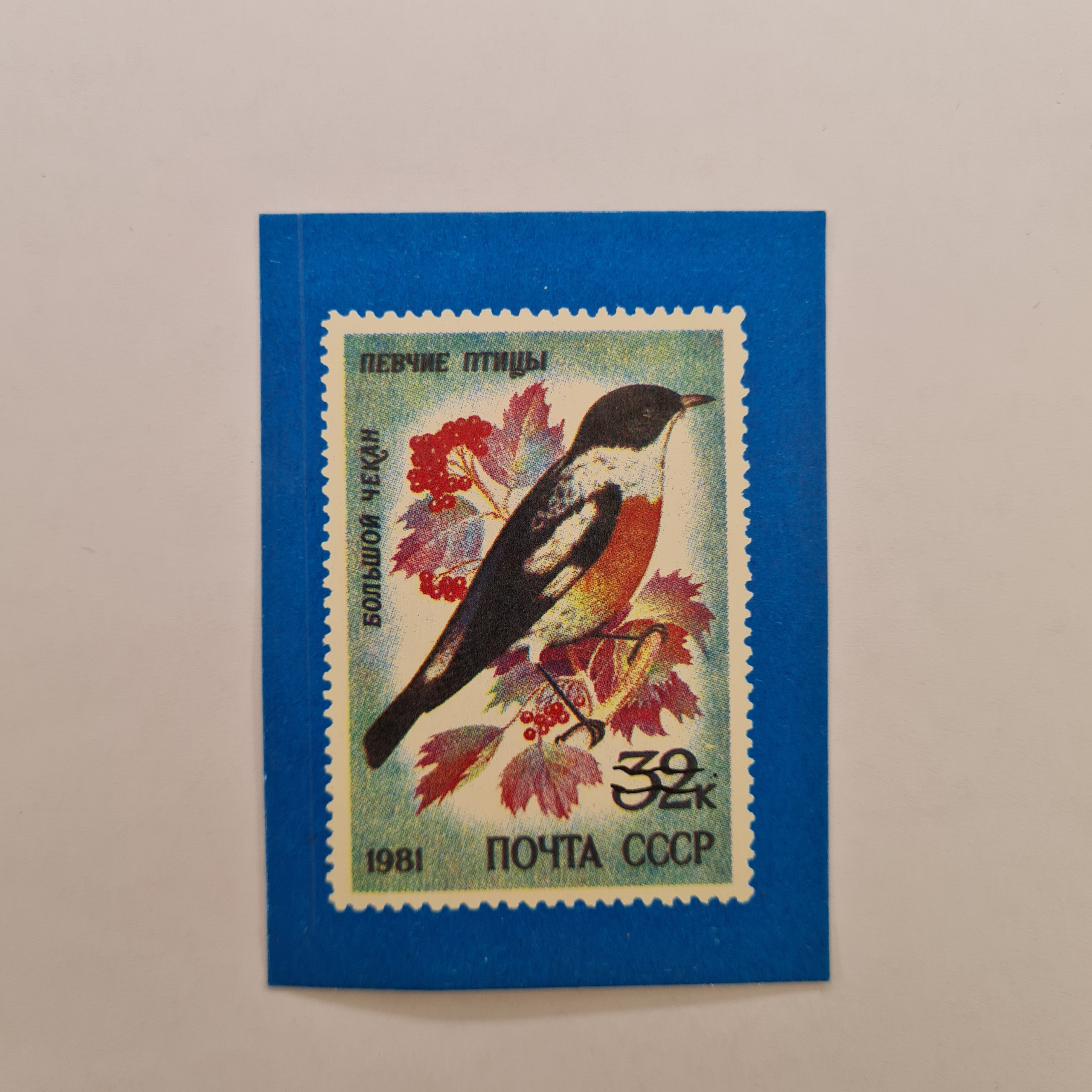 Картинка 1