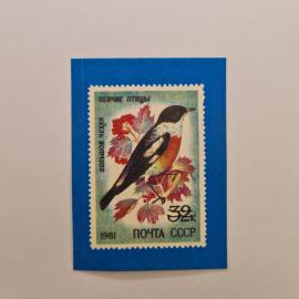 Карманный календарик СССР 1991. Поющие птицы, черноголовый чекан на марке. Советский календарь