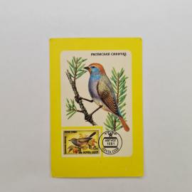 Карманный календарик СССР 1989. Расписная синичка, птица на ветке. Советский календарь