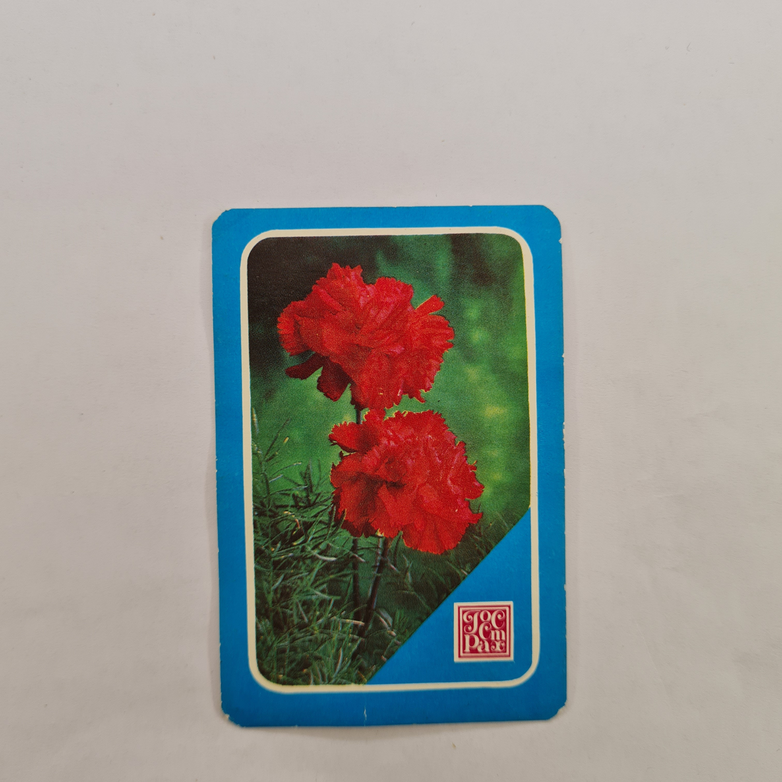 Картинка 1