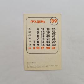 Картинка 2
