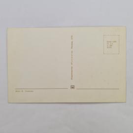 Картинка 2