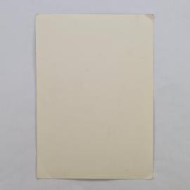 Картинка 2