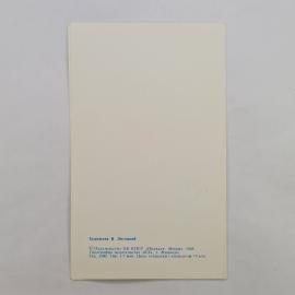 Картинка 2