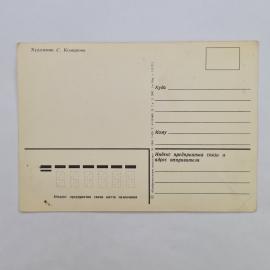 Картинка 2