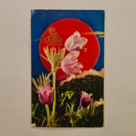 Открытка винтажная, СССР. 1975 год, цветы, художники К. Шамин и Р. Якименко